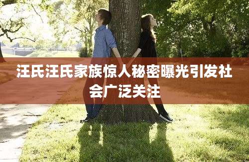 汪氏汪氏家族惊人秘密曝光引发社会广泛关注
