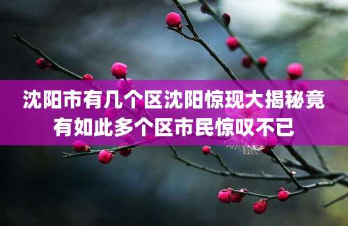 沈阳市有几个区沈阳惊现大揭秘竟有如此多个区市民惊叹不已