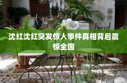 沈红沈红突发惊人事件真相背后震惊全国