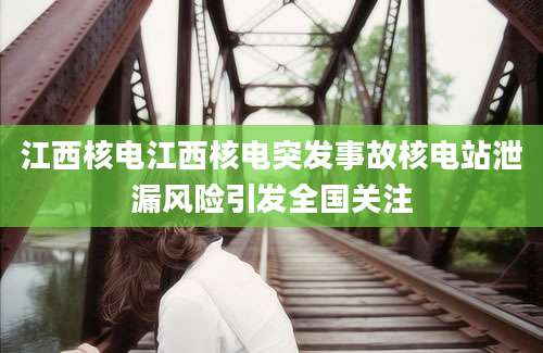 江西核电江西核电突发事故核电站泄漏风险引发全国关注