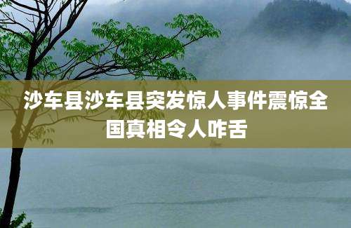 沙车县沙车县突发惊人事件震惊全国真相令人咋舌