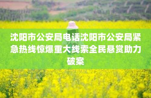 沈阳市公安局电话沈阳市公安局紧急热线惊爆重大线索全民悬赏助力破案