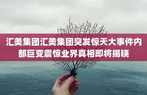 汇美集团汇美集团突发惊天大事件内部巨变震惊业界真相即将揭晓