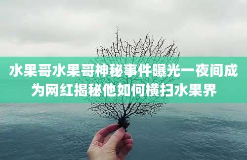 水果哥水果哥神秘事件曝光一夜间成为网红揭秘他如何横扫水果界