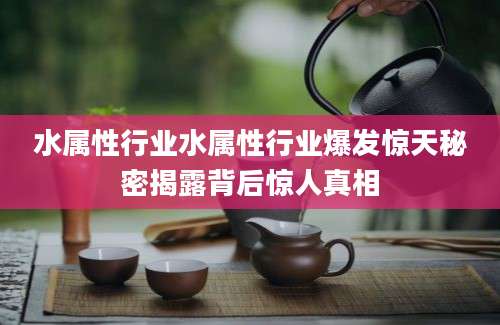 水属性行业水属性行业爆发惊天秘密揭露背后惊人真相