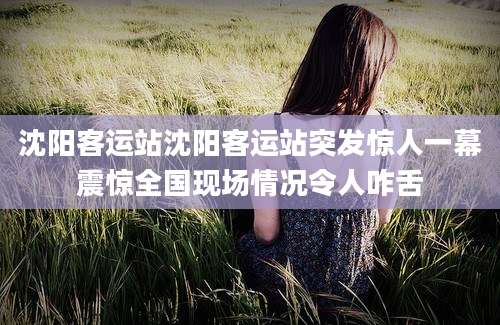 沈阳客运站沈阳客运站突发惊人一幕震惊全国现场情况令人咋舌