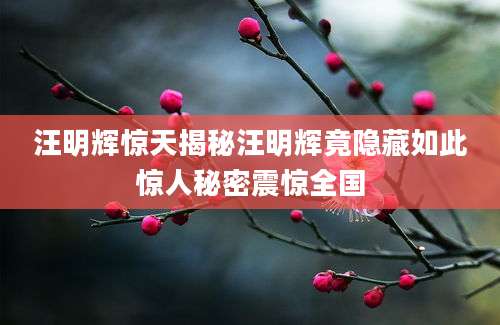 汪明辉惊天揭秘汪明辉竟隐藏如此惊人秘密震惊全国