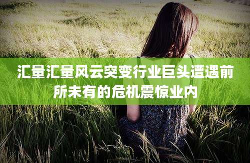 汇量汇量风云突变行业巨头遭遇前所未有的危机震惊业内