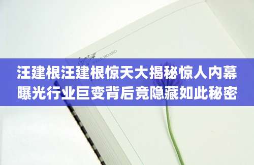 汪建根汪建根惊天大揭秘惊人内幕曝光行业巨变背后竟隐藏如此秘密