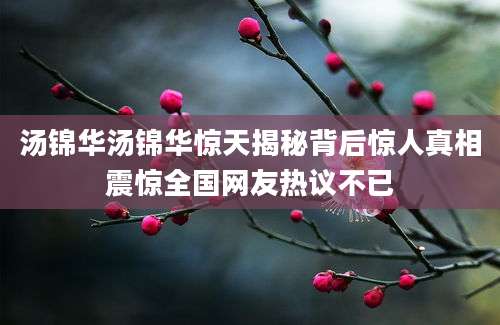 汤锦华汤锦华惊天揭秘背后惊人真相震惊全国网友热议不已