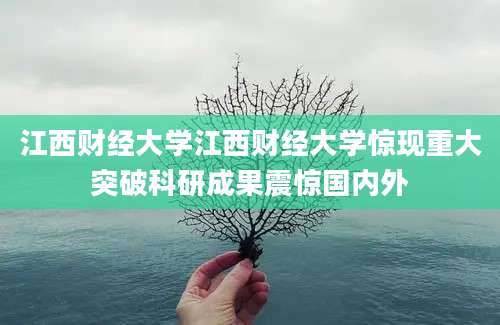 江西财经大学江西财经大学惊现重大突破科研成果震惊国内外