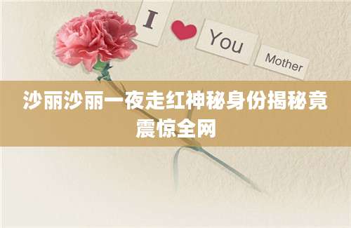 沙丽沙丽一夜走红神秘身份揭秘竟震惊全网
