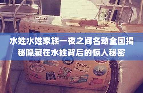 水姓水姓家族一夜之间名动全国揭秘隐藏在水姓背后的惊人秘密