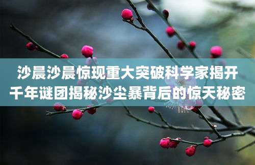 沙晨沙晨惊现重大突破科学家揭开千年谜团揭秘沙尘暴背后的惊天秘密