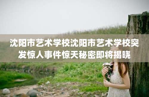 沈阳市艺术学校沈阳市艺术学校突发惊人事件惊天秘密即将揭晓