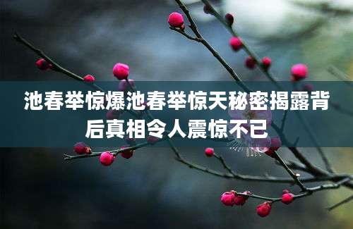 池春举惊爆池春举惊天秘密揭露背后真相令人震惊不已