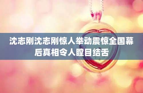 沈志刚沈志刚惊人举动震惊全国幕后真相令人瞠目结舌