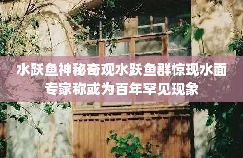 水跃鱼神秘奇观水跃鱼群惊现水面专家称或为百年罕见现象