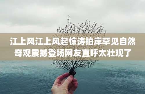 江上风江上风起惊涛拍岸罕见自然奇观震撼登场网友直呼太壮观了