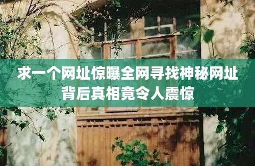 求一个网址惊曝全网寻找神秘网址背后真相竟令人震惊