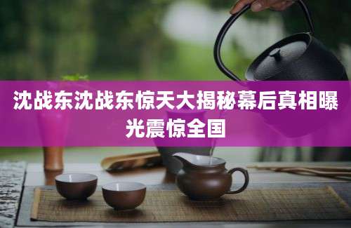 沈战东沈战东惊天大揭秘幕后真相曝光震惊全国