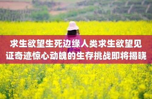 求生欲望生死边缘人类求生欲望见证奇迹惊心动魄的生存挑战即将揭晓