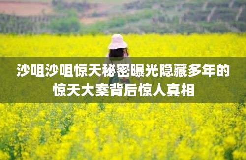 沙咀沙咀惊天秘密曝光隐藏多年的惊天大案背后惊人真相