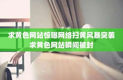 求黄色网站惊曝网络扫黄风暴突袭求黄色网站瞬间被封