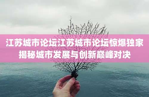 江苏城市论坛江苏城市论坛惊爆独家揭秘城市发展与创新巅峰对决
