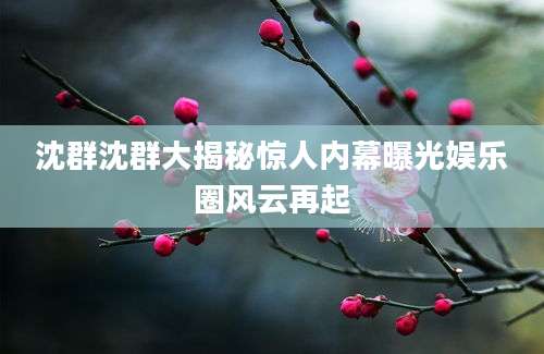 沈群沈群大揭秘惊人内幕曝光娱乐圈风云再起