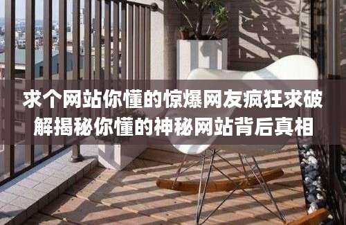 求个网站你懂的惊爆网友疯狂求破解揭秘你懂的神秘网站背后真相