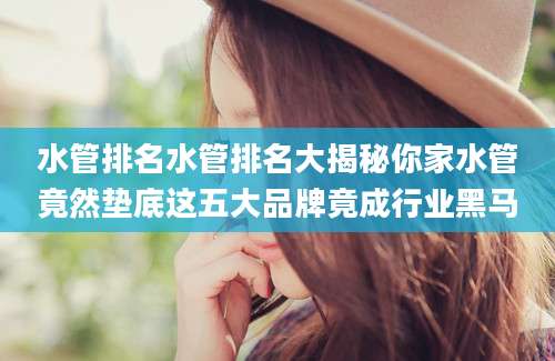 水管排名水管排名大揭秘你家水管竟然垫底这五大品牌竟成行业黑马