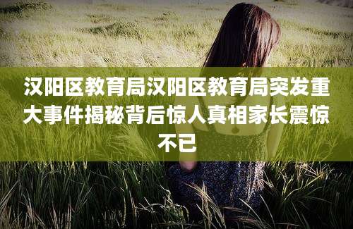 汉阳区教育局汉阳区教育局突发重大事件揭秘背后惊人真相家长震惊不已