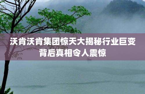沃肯沃肯集团惊天大揭秘行业巨变背后真相令人震惊