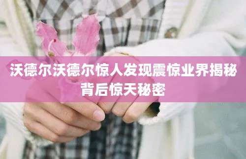 沃德尔沃德尔惊人发现震惊业界揭秘背后惊天秘密
