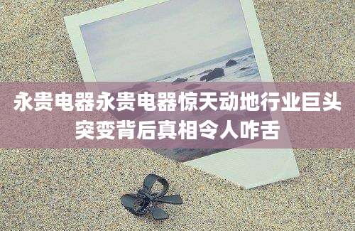 永贵电器永贵电器惊天动地行业巨头突变背后真相令人咋舌