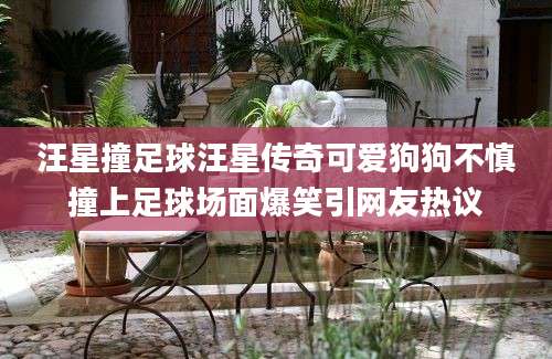 汪星撞足球汪星传奇可爱狗狗不慎撞上足球场面爆笑引网友热议