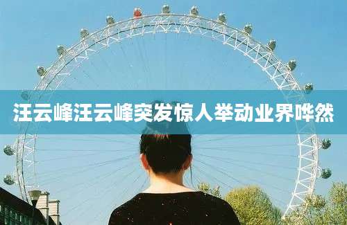 汪云峰汪云峰突发惊人举动业界哗然