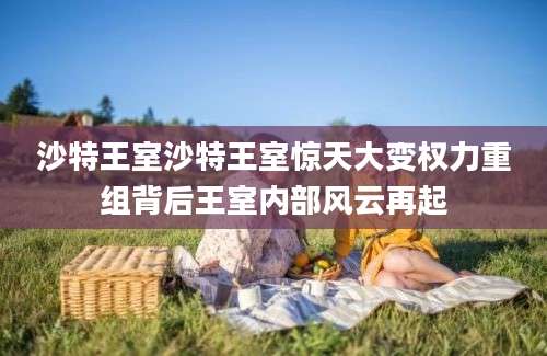 沙特王室沙特王室惊天大变权力重组背后王室内部风云再起