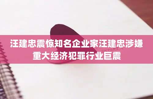 汪建忠震惊知名企业家汪建忠涉嫌重大经济犯罪行业巨震