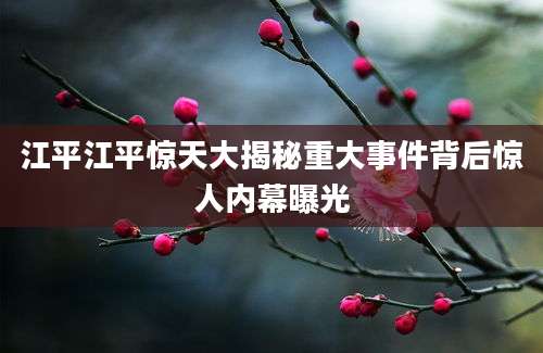 江平江平惊天大揭秘重大事件背后惊人内幕曝光
