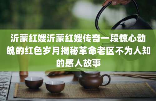 沂蒙红嫂沂蒙红嫂传奇一段惊心动魄的红色岁月揭秘革命老区不为人知的感人故事