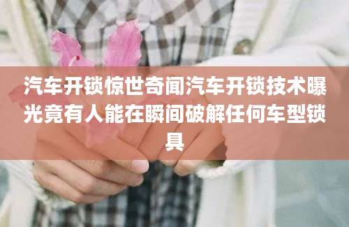 汽车开锁惊世奇闻汽车开锁技术曝光竟有人能在瞬间破解任何车型锁具