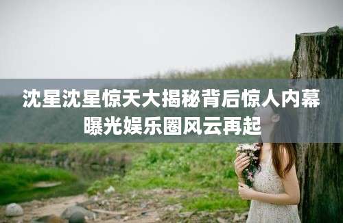 沈星沈星惊天大揭秘背后惊人内幕曝光娱乐圈风云再起