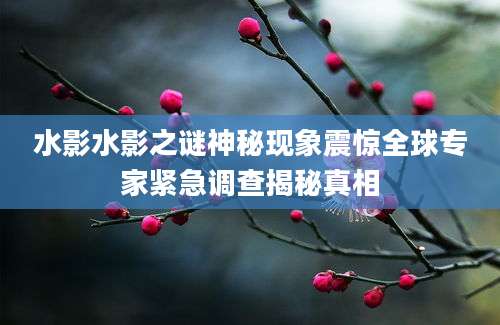 水影水影之谜神秘现象震惊全球专家紧急调查揭秘真相