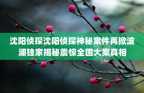 沈阳侦探沈阳侦探神秘案件再掀波澜独家揭秘震惊全国大案真相