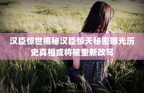 汉臣惊世揭秘汉臣惊天秘密曝光历史真相或将被重新改写