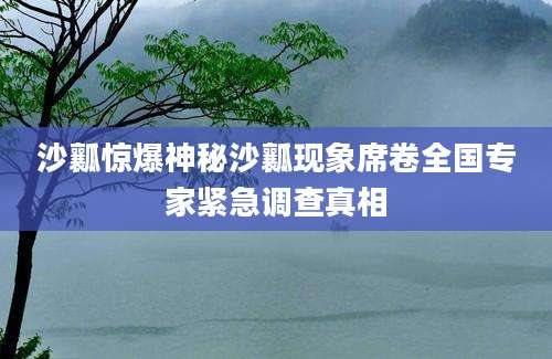 沙瓤惊爆神秘沙瓤现象席卷全国专家紧急调查真相