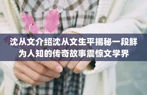沈从文介绍沈从文生平揭秘一段鲜为人知的传奇故事震惊文学界