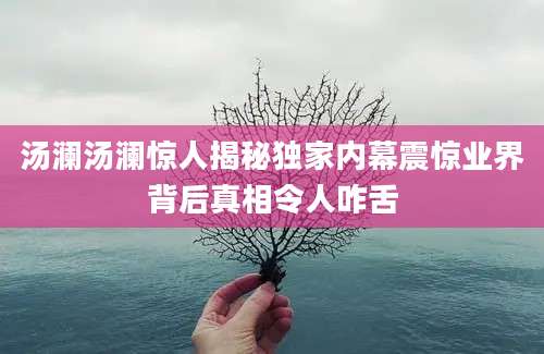 汤澜汤澜惊人揭秘独家内幕震惊业界背后真相令人咋舌